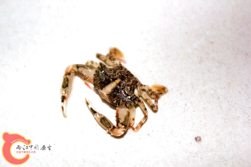 照片 057_副本.jpg