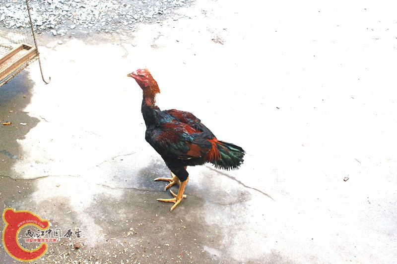 照片 060_副本.jpg