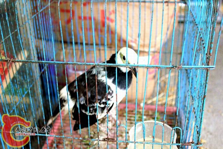 照片 062_副本.jpg