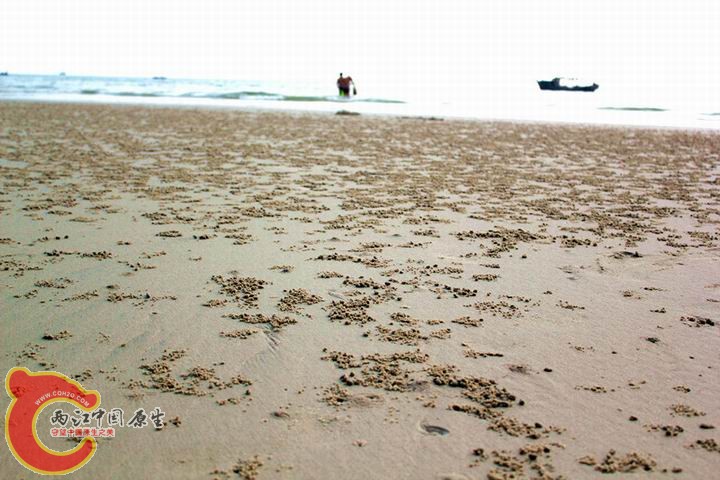 照片 097_副本.jpg