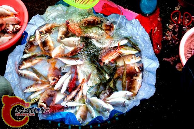 照片 133_副本.jpg