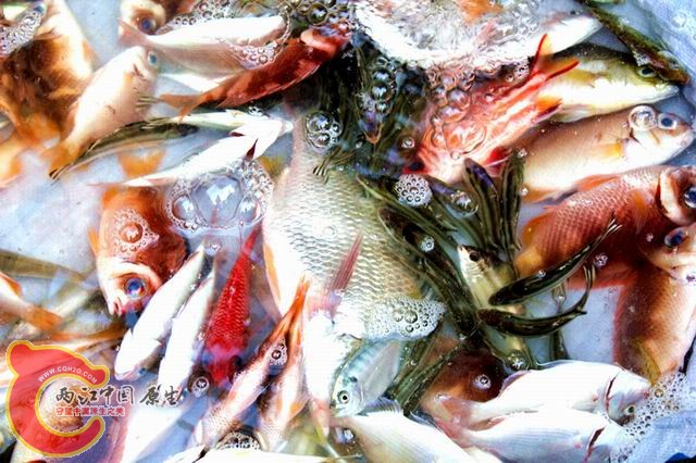 照片 134_副本.jpg