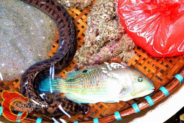 照片 135_副本.jpg