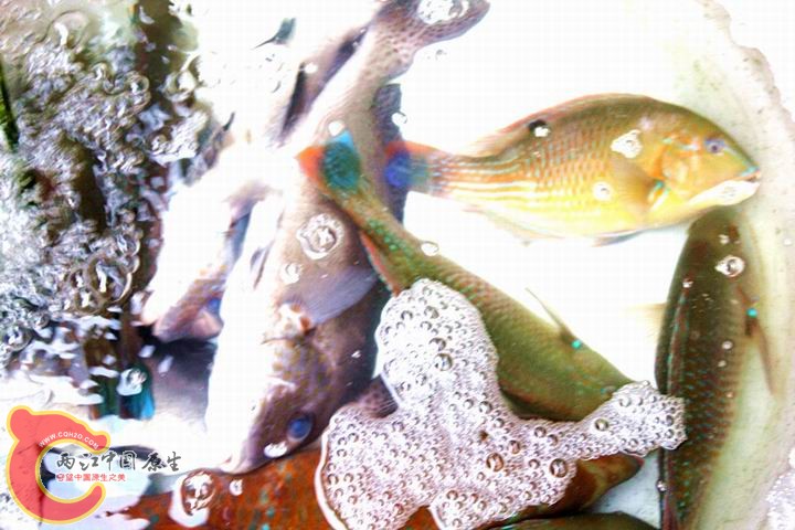 照片 137_副本.jpg