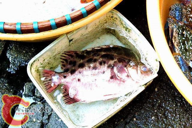 照片 138_副本.jpg