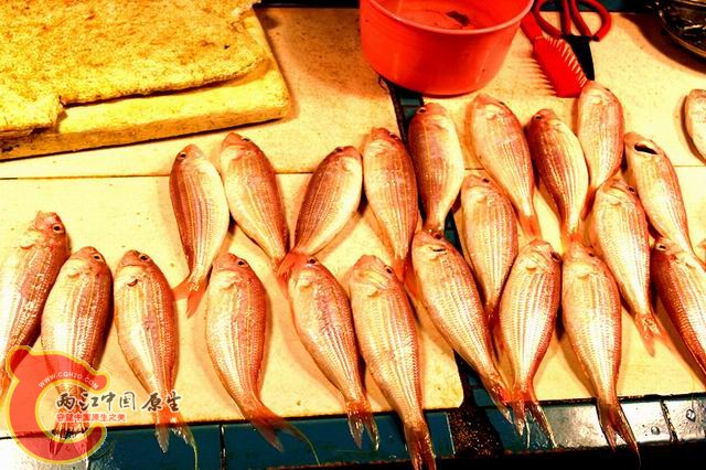 照片 139_副本.jpg