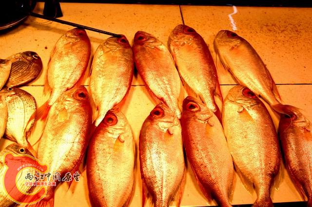 照片 140_副本.jpg