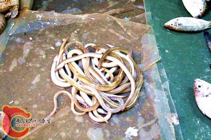 照片 141_副本.jpg