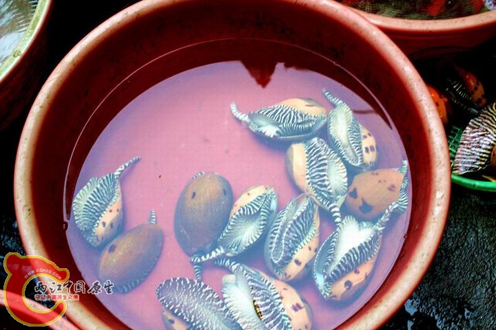 照片 142_副本.jpg