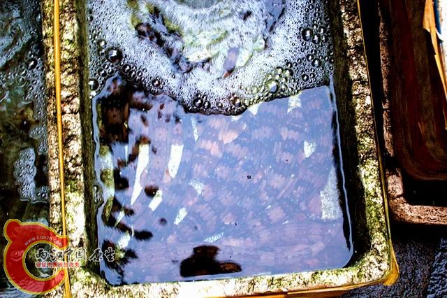 照片 143_副本.jpg