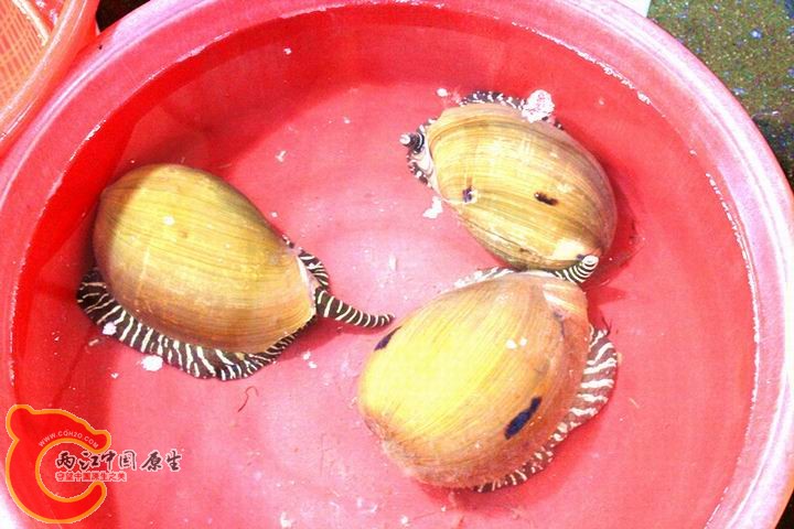 照片 144_副本.jpg