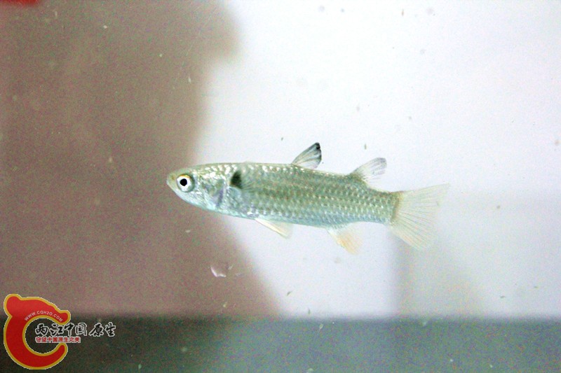 照片 268_副本.jpg