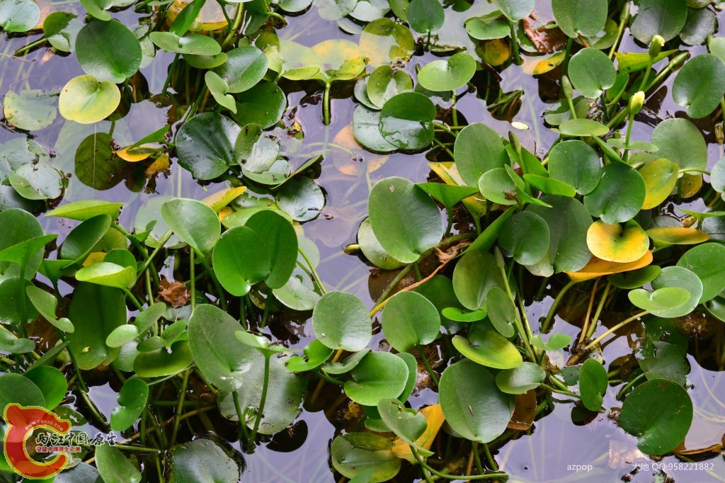 conew_20110925_337 - 副本.jpg