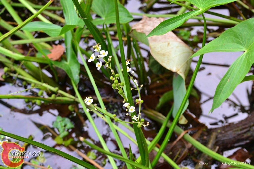 conew_20110925_340 - 副本.jpg