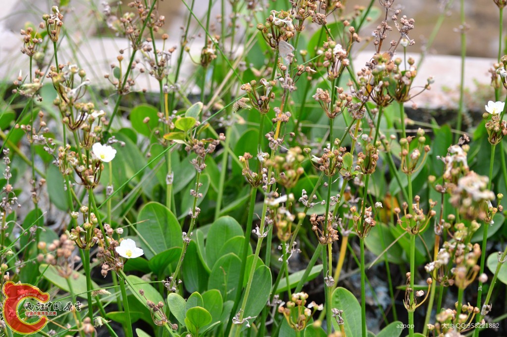 conew_20110925_352 - 副本.jpg