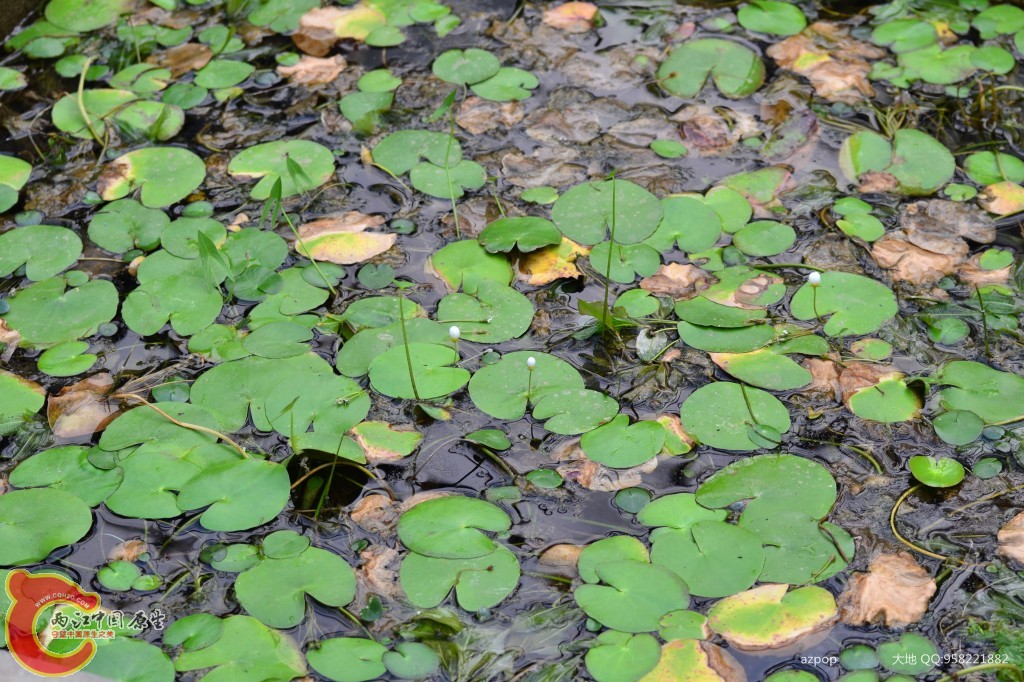 conew_20110925_353 - 副本.jpg
