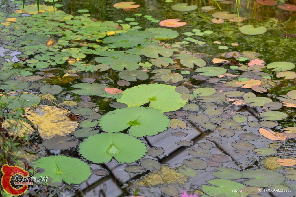 conew_20110925_357 - 副本.jpg
