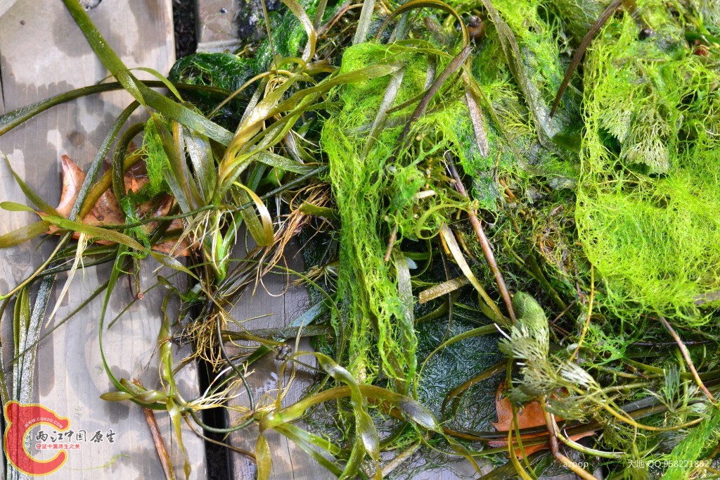 conew_20110925_364 - 副本.jpg