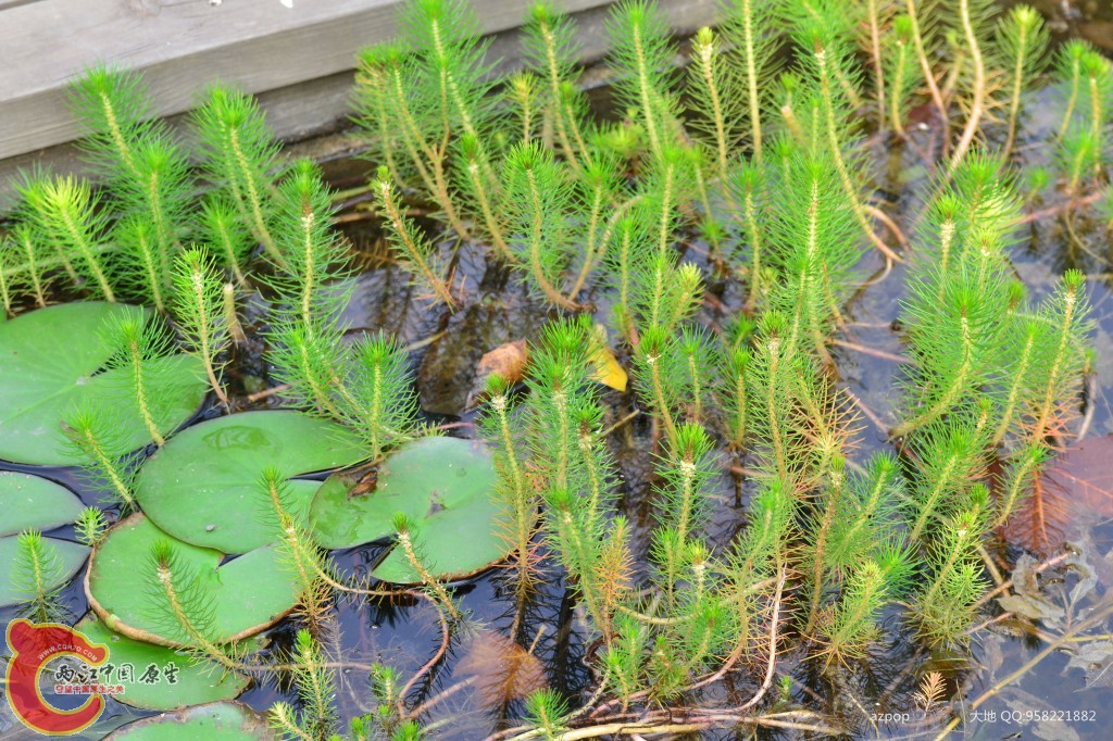 conew_20110925_367 - 副本.jpg