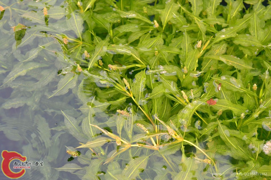 conew_20110925_369 - 副本.jpg