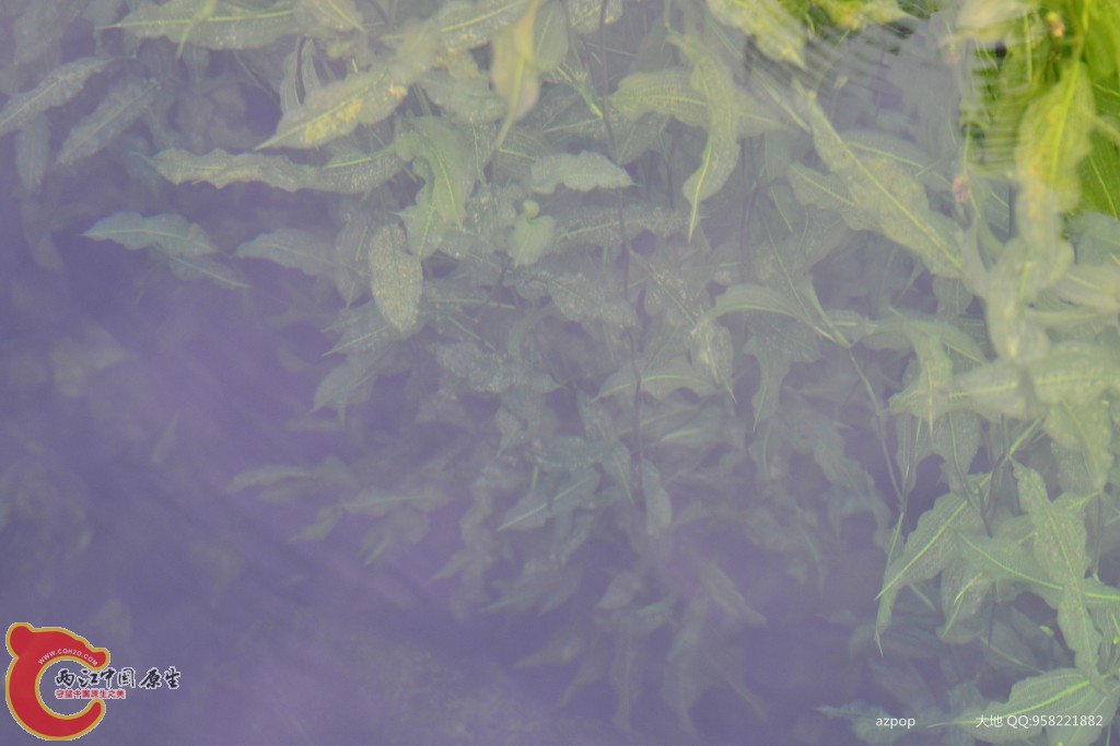 conew_20110925_370 - 副本.jpg