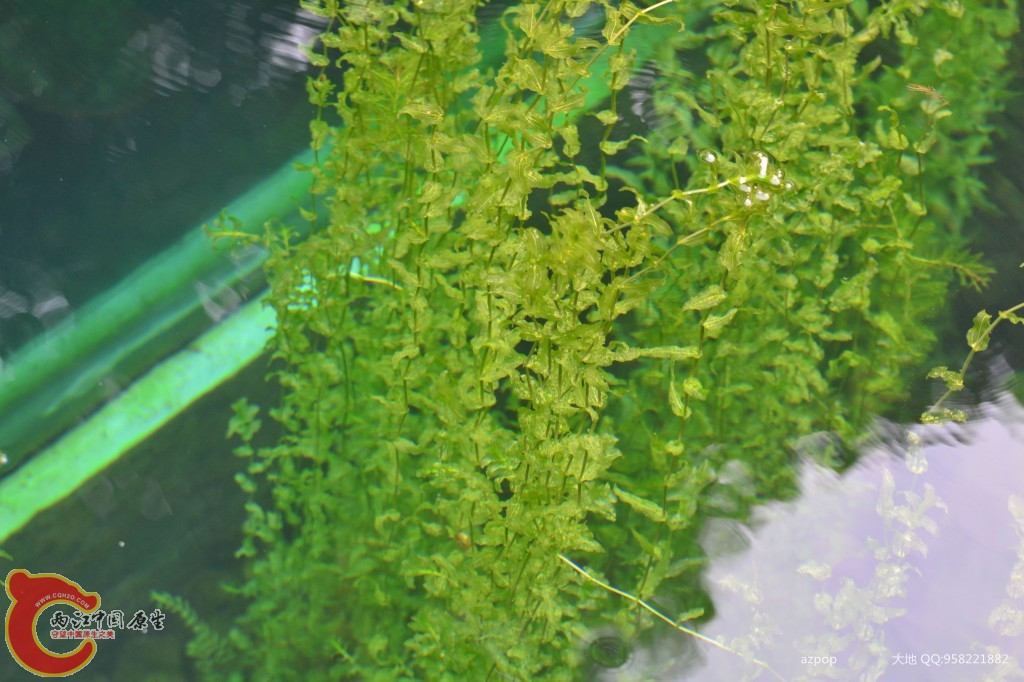 conew_20110925_373 - 副本.jpg