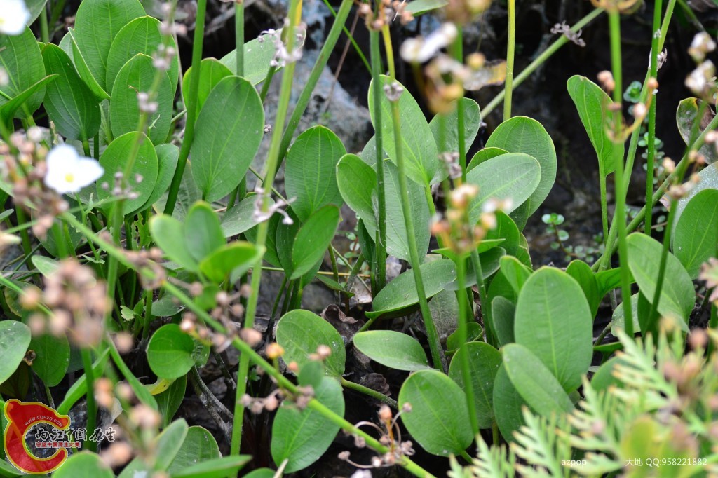 conew_20110925_375 - 副本.jpg