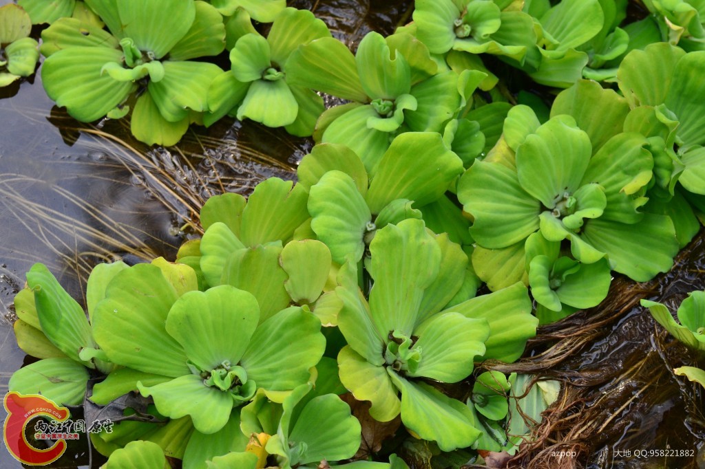 conew_20110925_443 - 副本.jpg