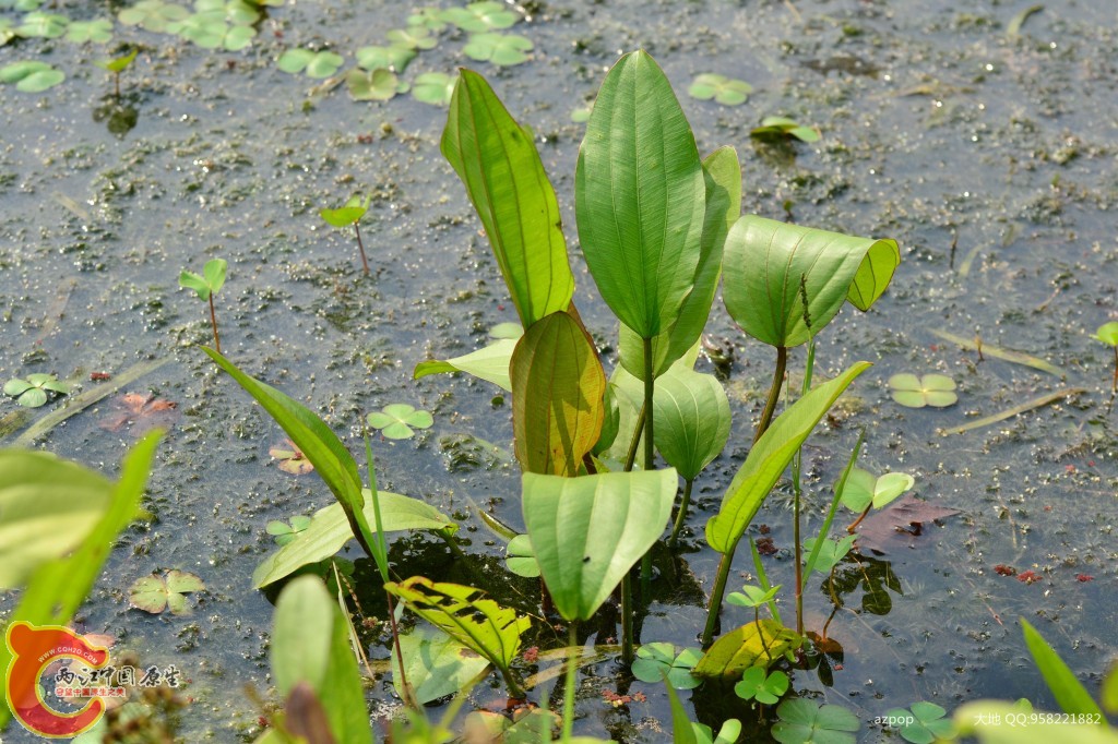 conew_20110925_481 - 副本.jpg