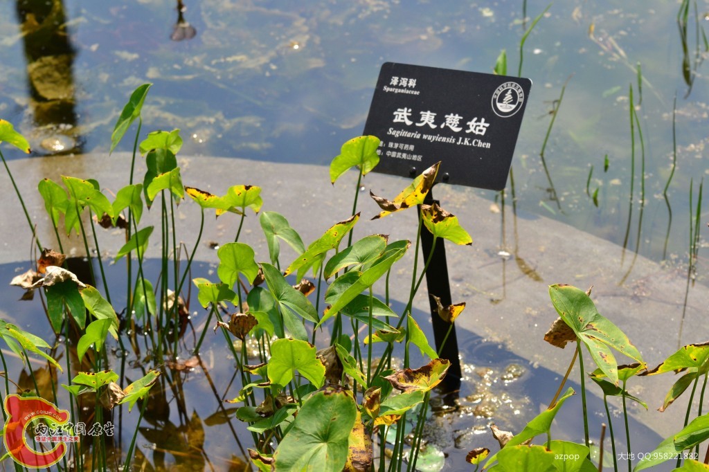 conew_20110925_553 - 副本.jpg