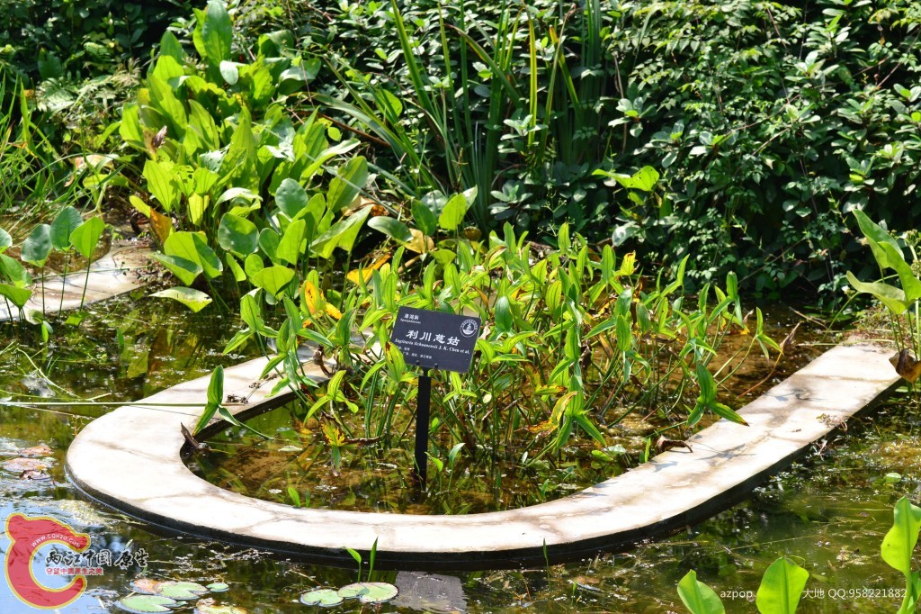 conew_20110925_554 - 副本.jpg