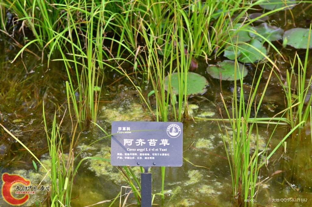 conew_20110925_556 - 副本.jpg