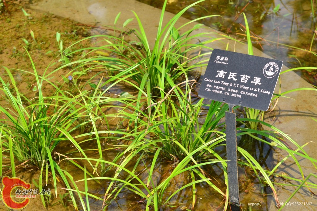 conew_20110925_558 - 副本.jpg