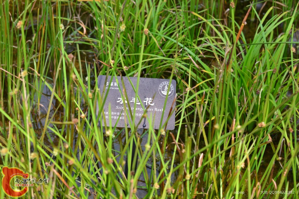 conew_20110925_560 - 副本.jpg