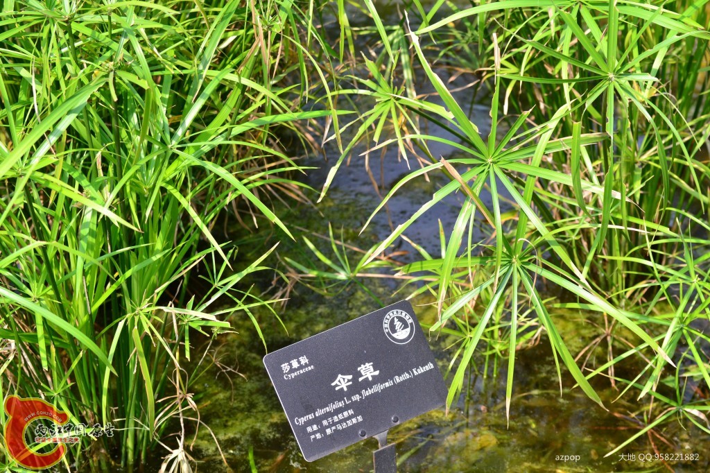 conew_20110925_561 - 副本.jpg
