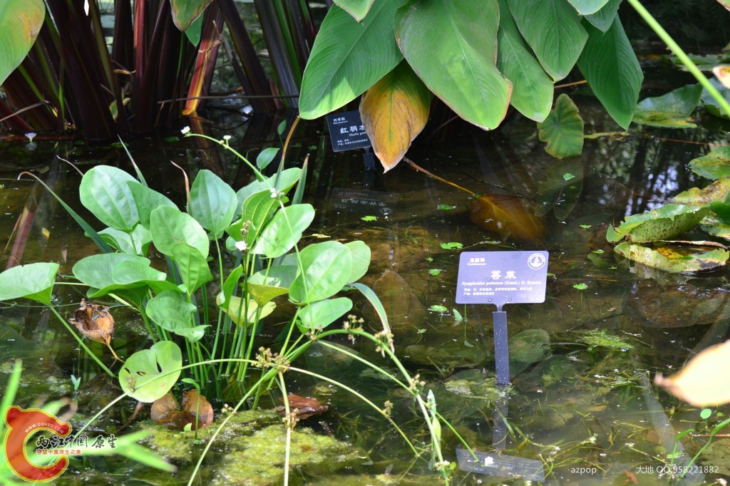 conew_20110925_562 - 副本.jpg