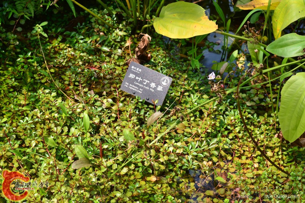 conew_20110925_563 - 副本.jpg