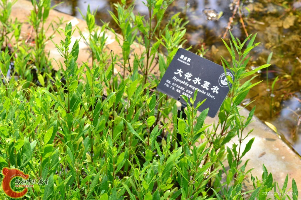 conew_20110925_565 - 副本.jpg