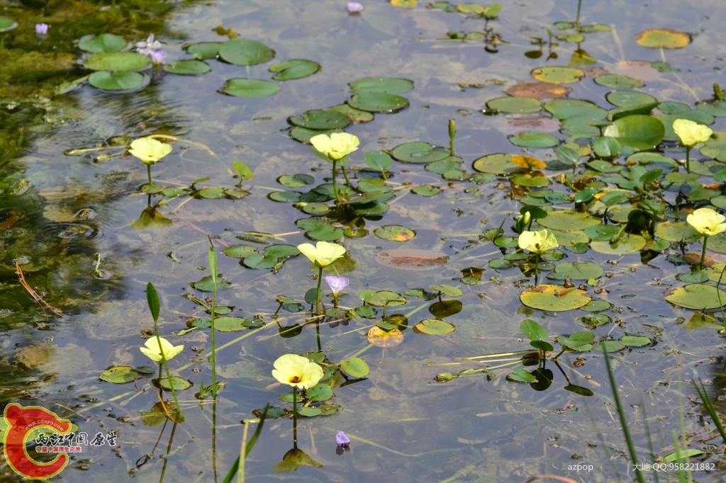 conew_20110925_566 - 副本.jpg