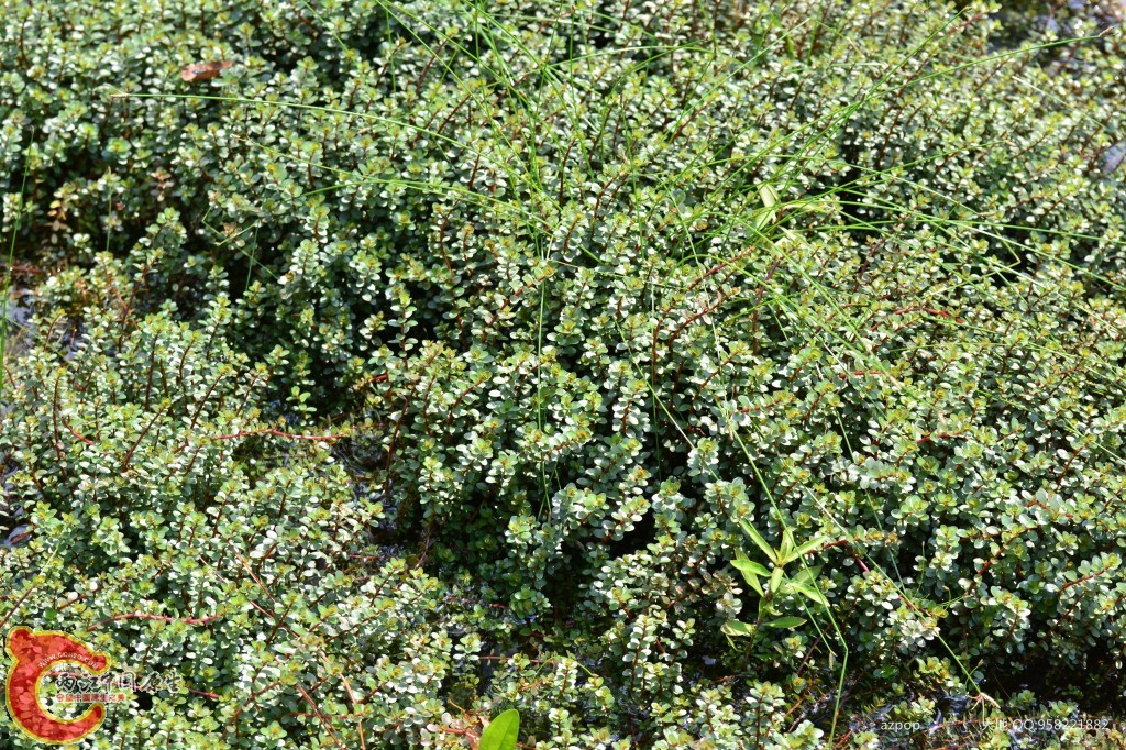 conew_20110925_568 - 副本.jpg