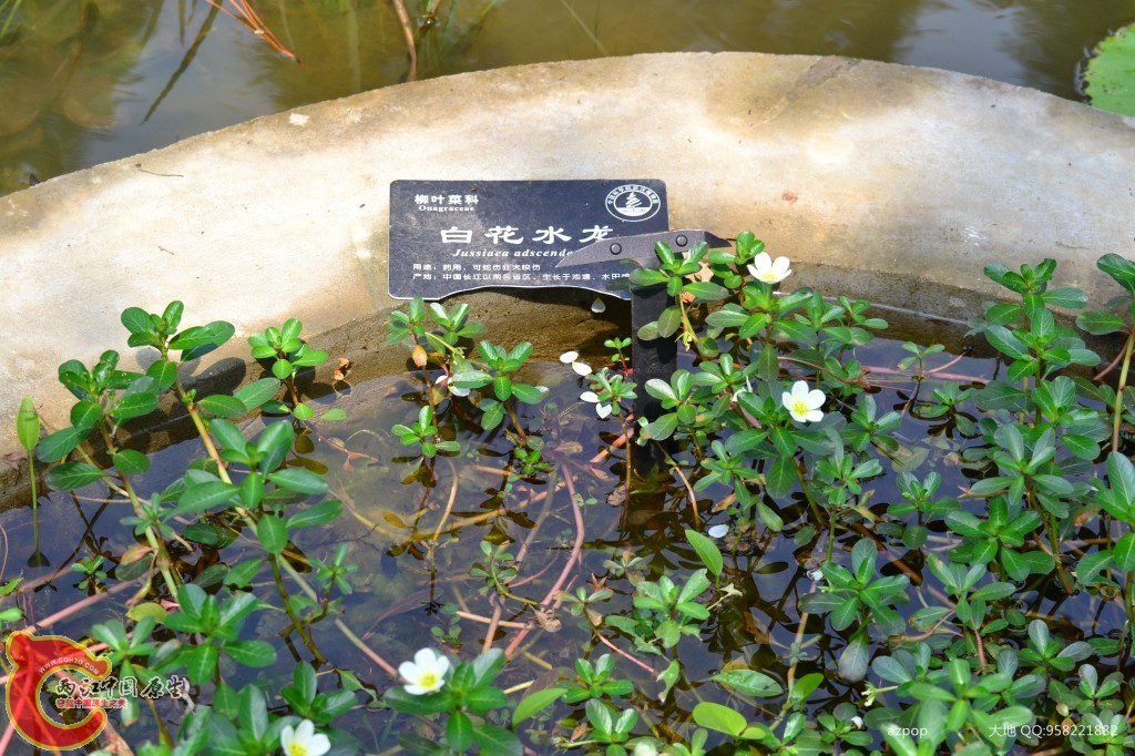 conew_20110925_569 - 副本.jpg