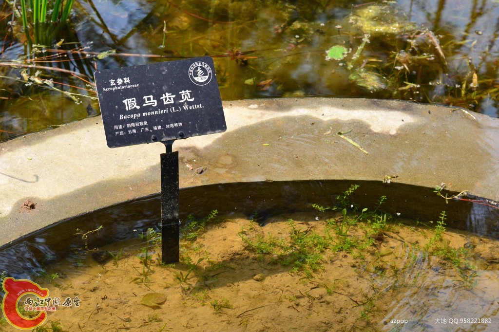 conew_20110925_570 - 副本.jpg
