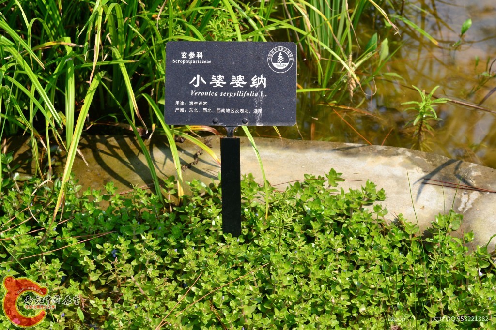 conew_20110925_573 - 副本.jpg