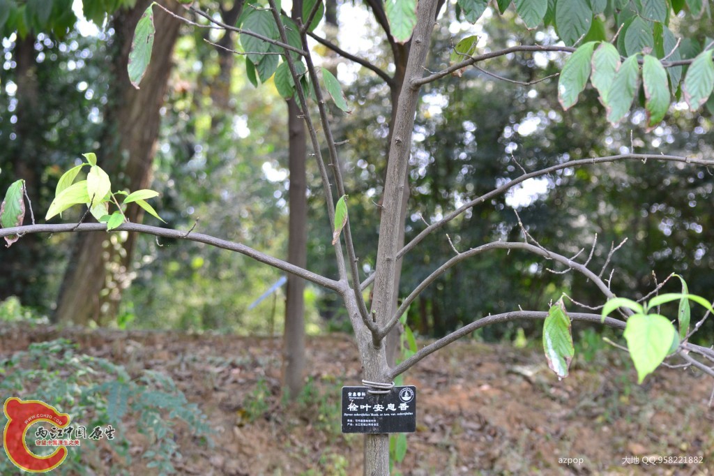 conew_20110925_620.jpg