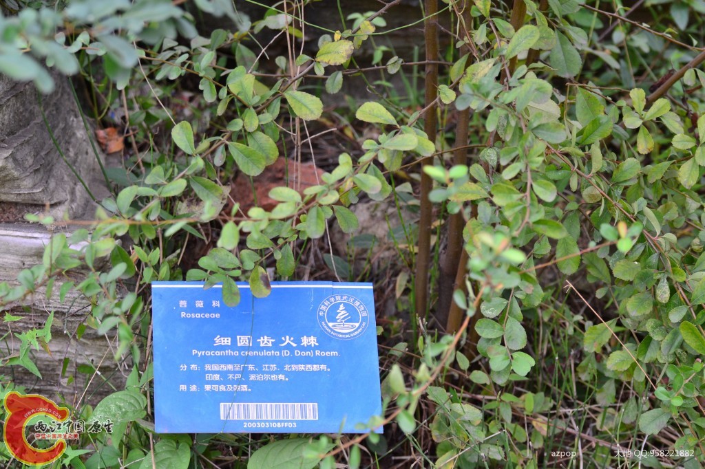 conew_20110925_624.jpg