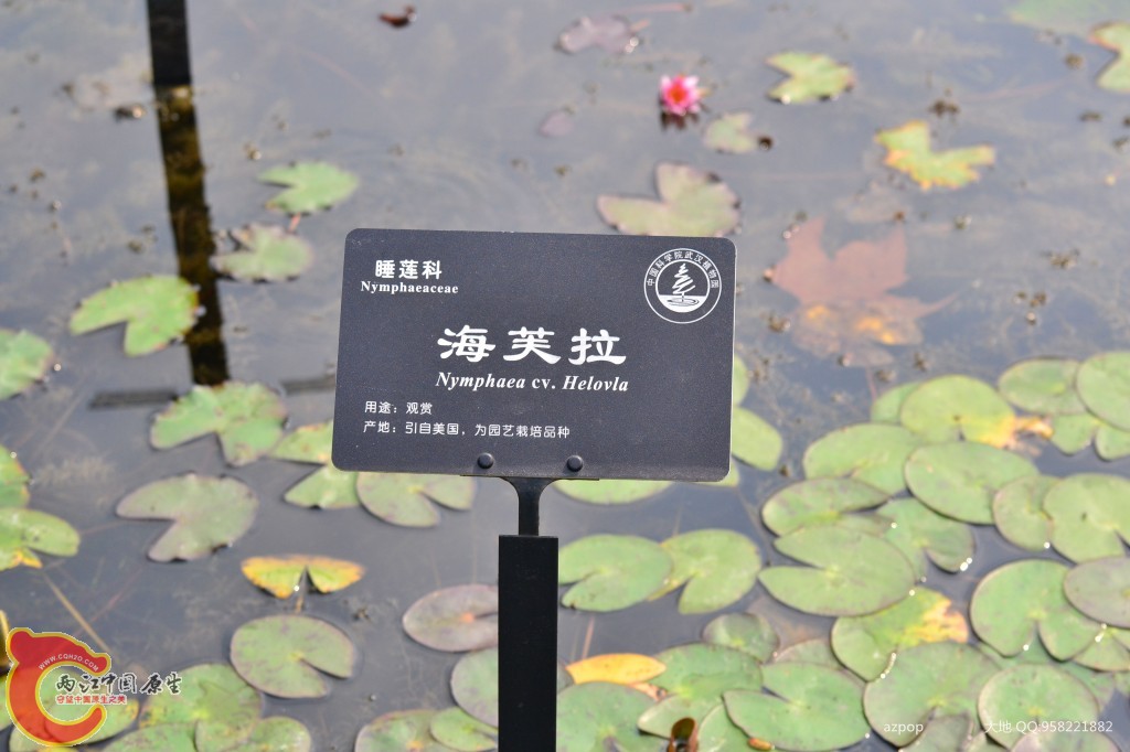 conew_20110925_456.jpg