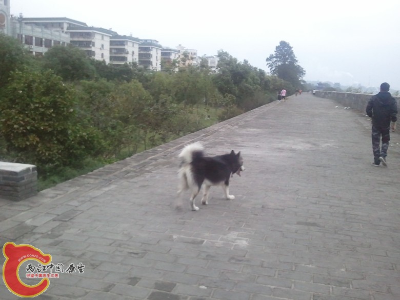 2011-09-30 17.45.05_副本.jpg