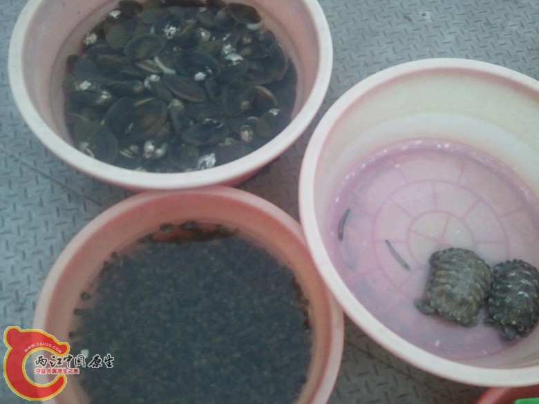 2011-09-30 17.50.25_副本.jpg