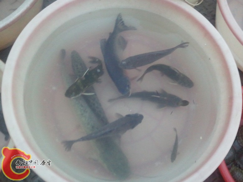 2011-09-30 17.50.38_副本.jpg