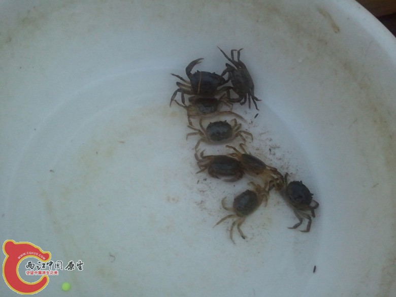 2011-09-30 17.50.48_副本.jpg